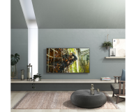 Panasonic 49HX900E - 1384011 - zdjęcie 6